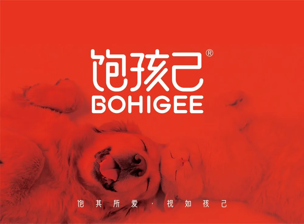 饱孩己品牌形象 — 金毛与猫